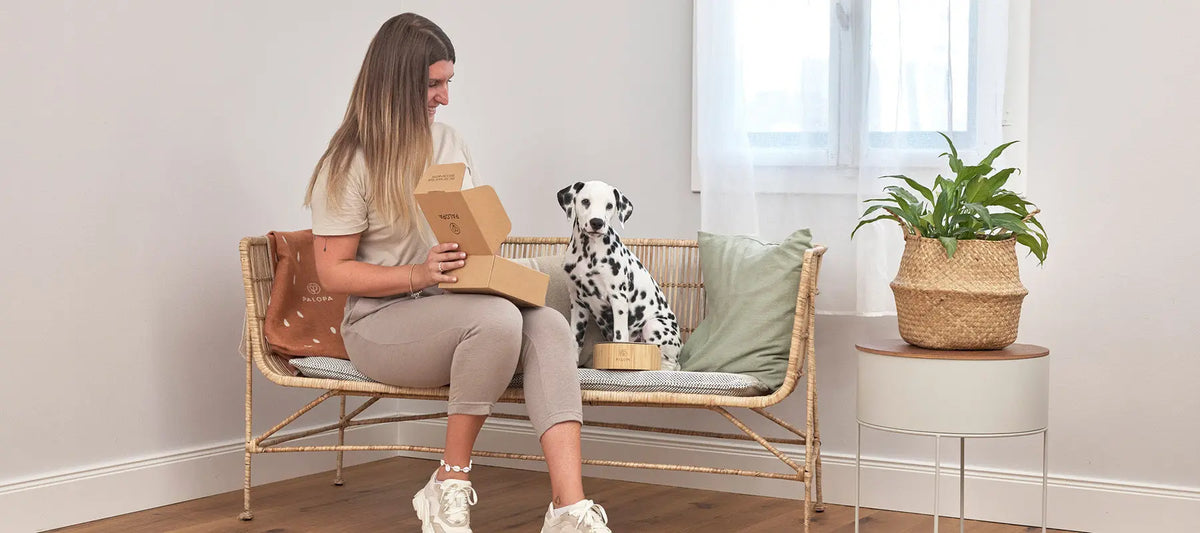 10 Facts About the PALOPA Brand PALOPA
