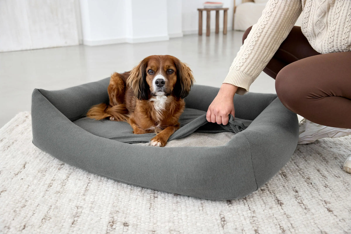 Hundebett Bezug 2er Set - Fred, Anthrazit