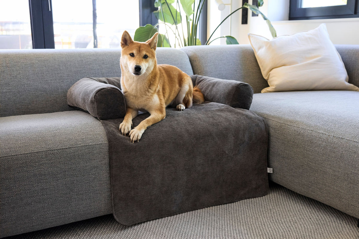 Sofa Schutzmatte Hund - Rika - PALOPA