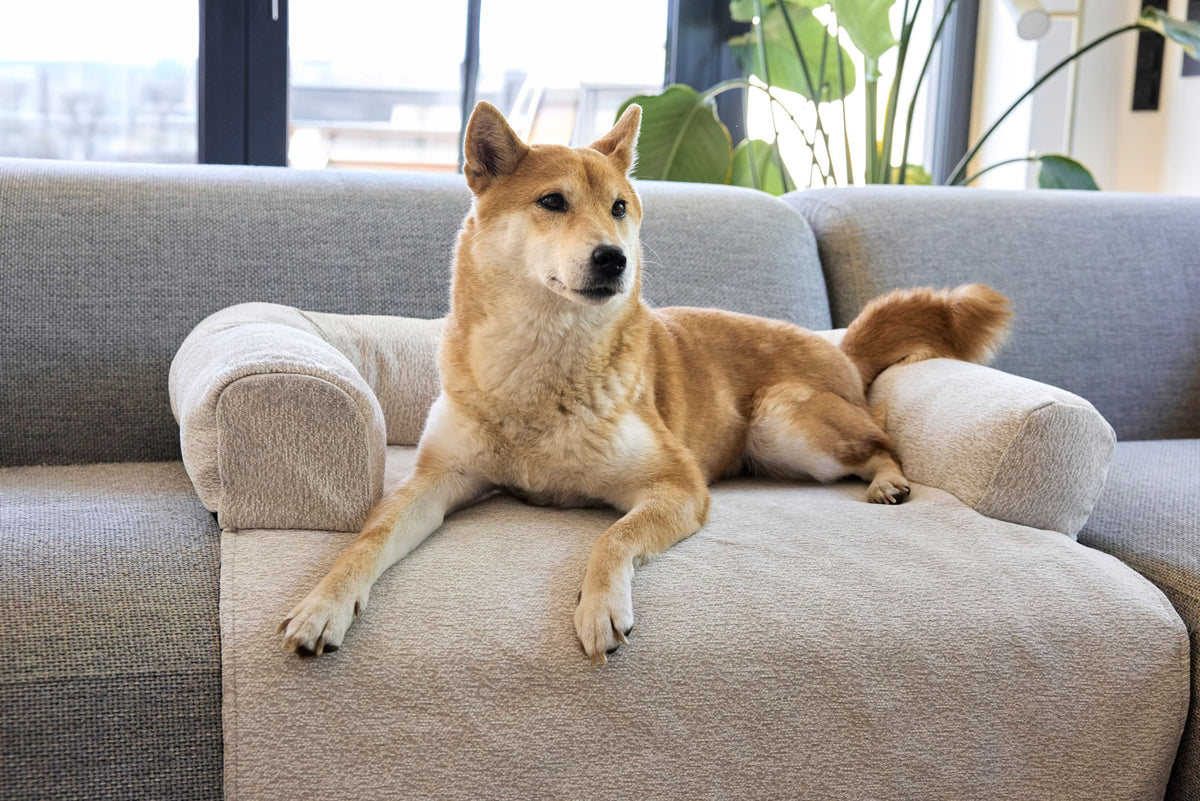 Sofa Schutzmatte Hund - Rika - Lässig
