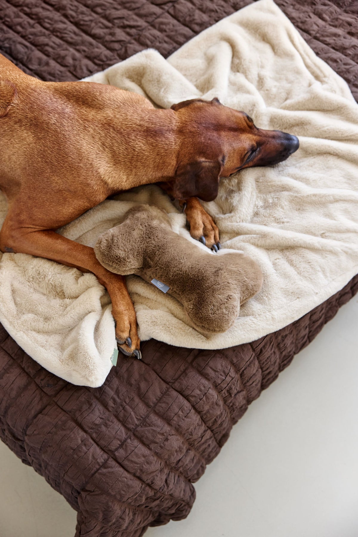 Hundekissen Knochen - Mylo