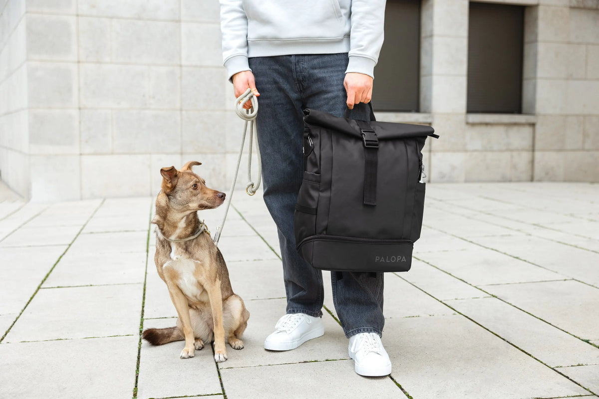 Rolltop Backpack - Yoska, Black