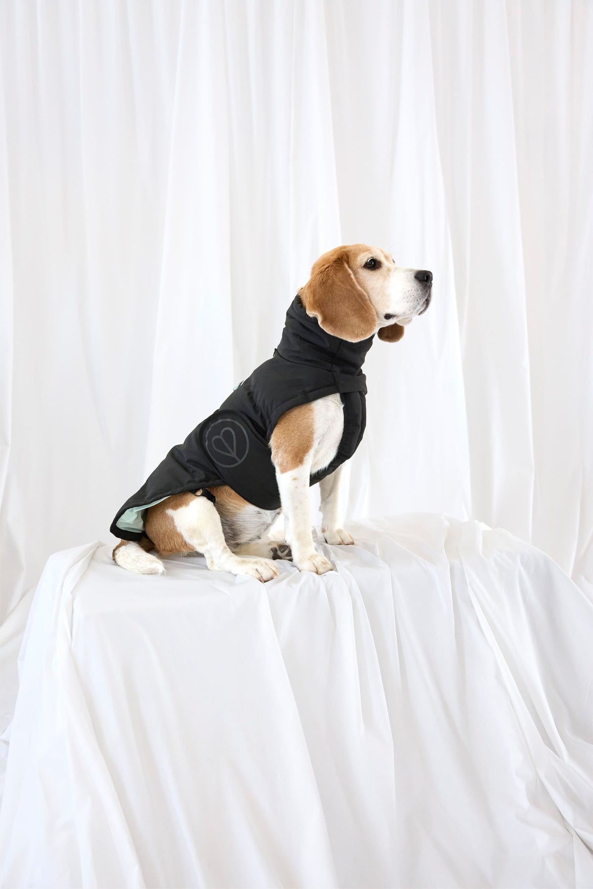 Hundewintermantel Lang - Nolia