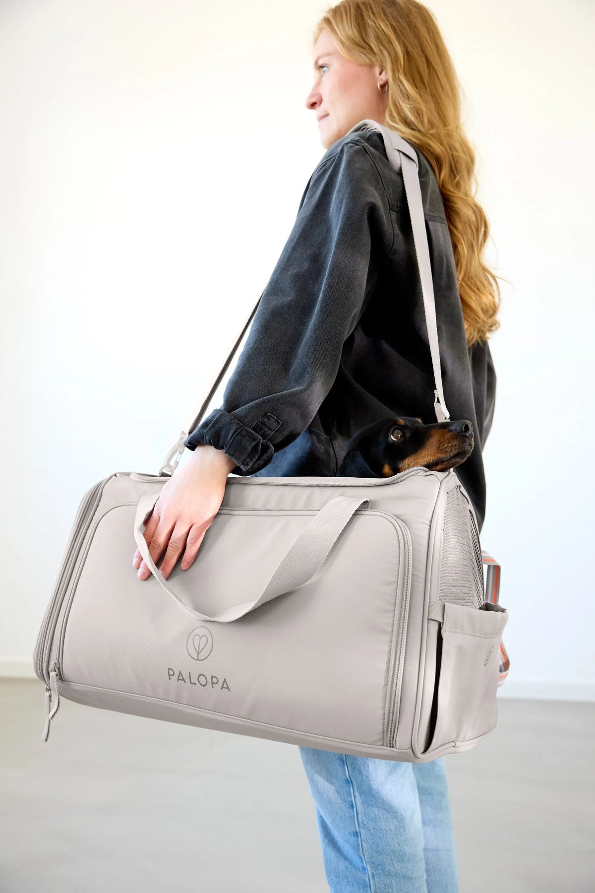 Dog carrier bag - Benno, Taupe