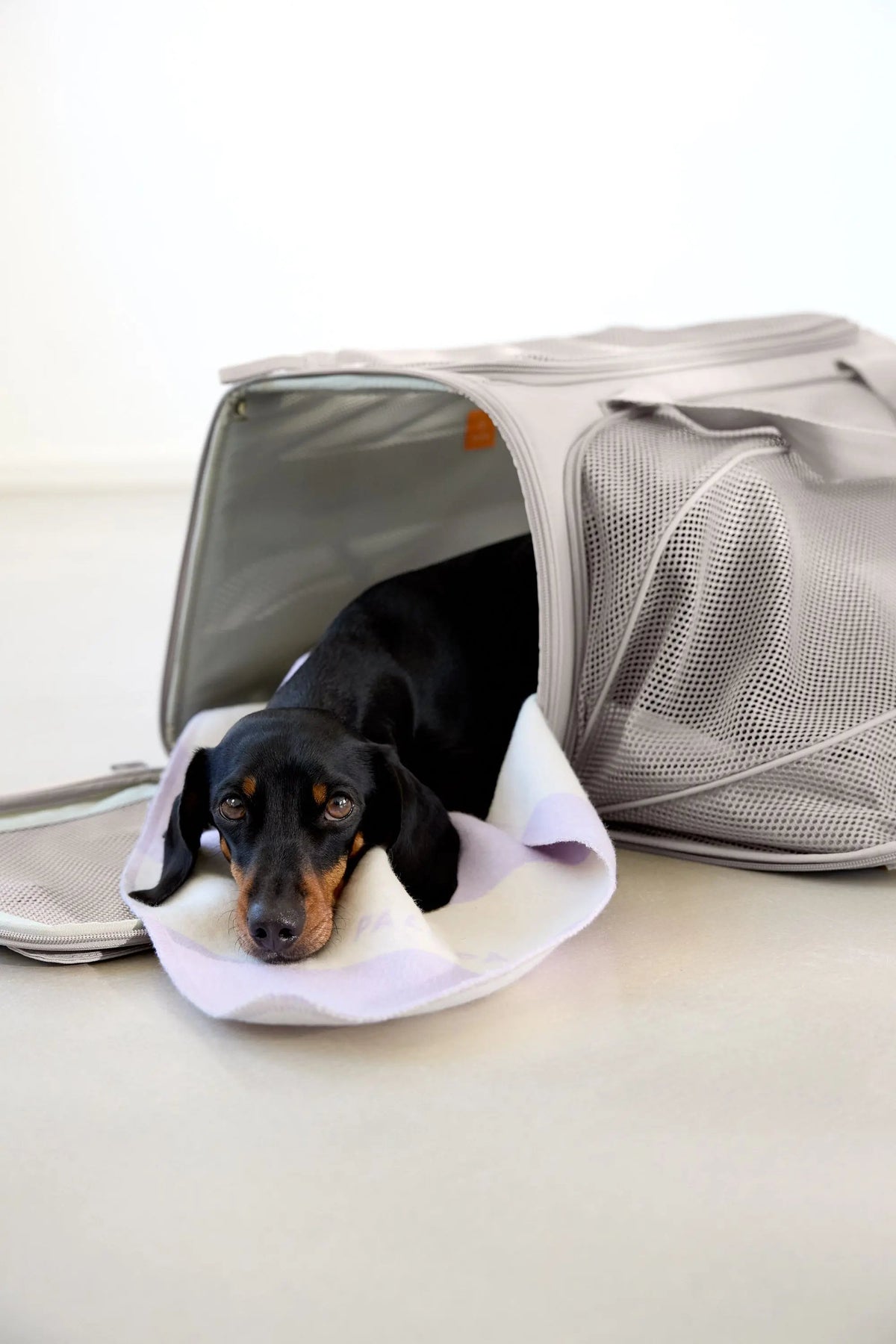 Dog carrier bag - Benno, Taupe
