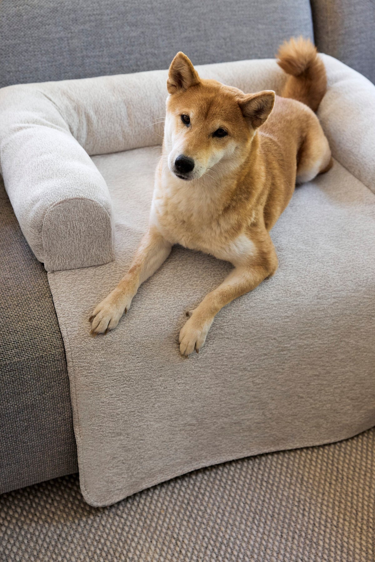 Sofa Schutzmatte Hund - Rika - PALOPA