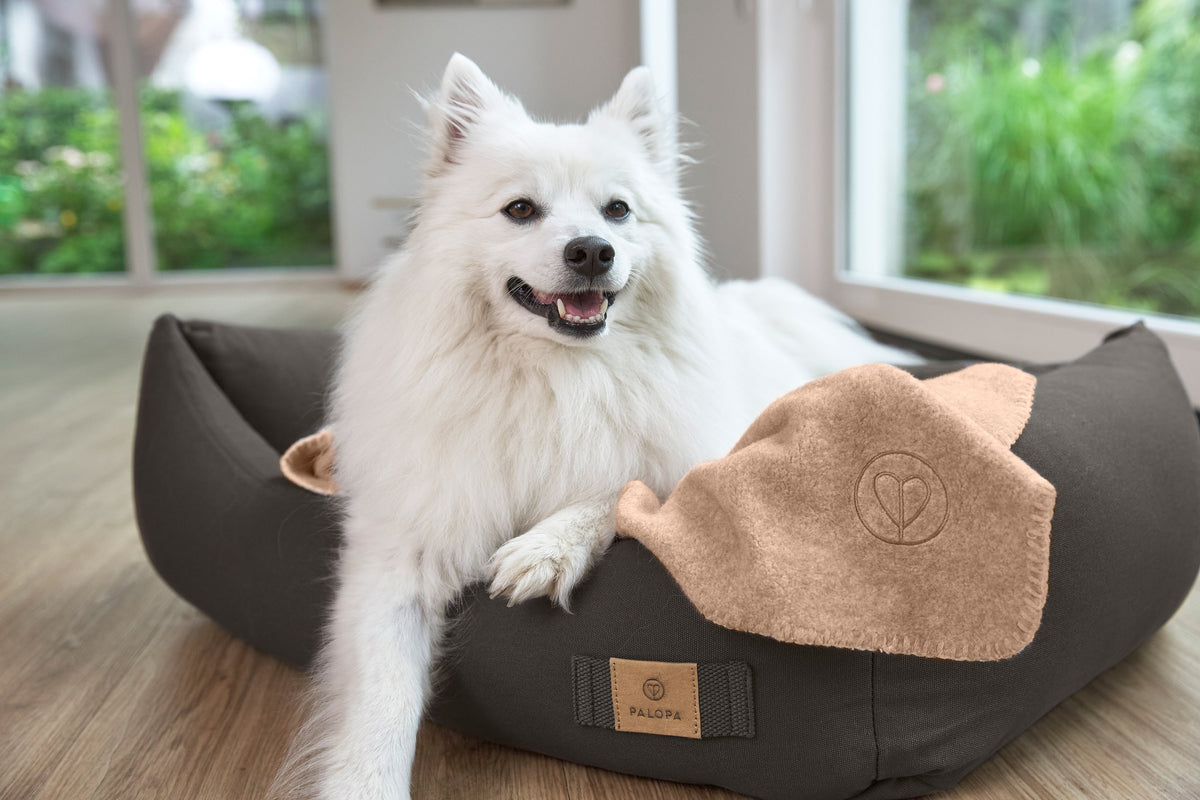 Hundedecke M - Mathilda, Ahorn