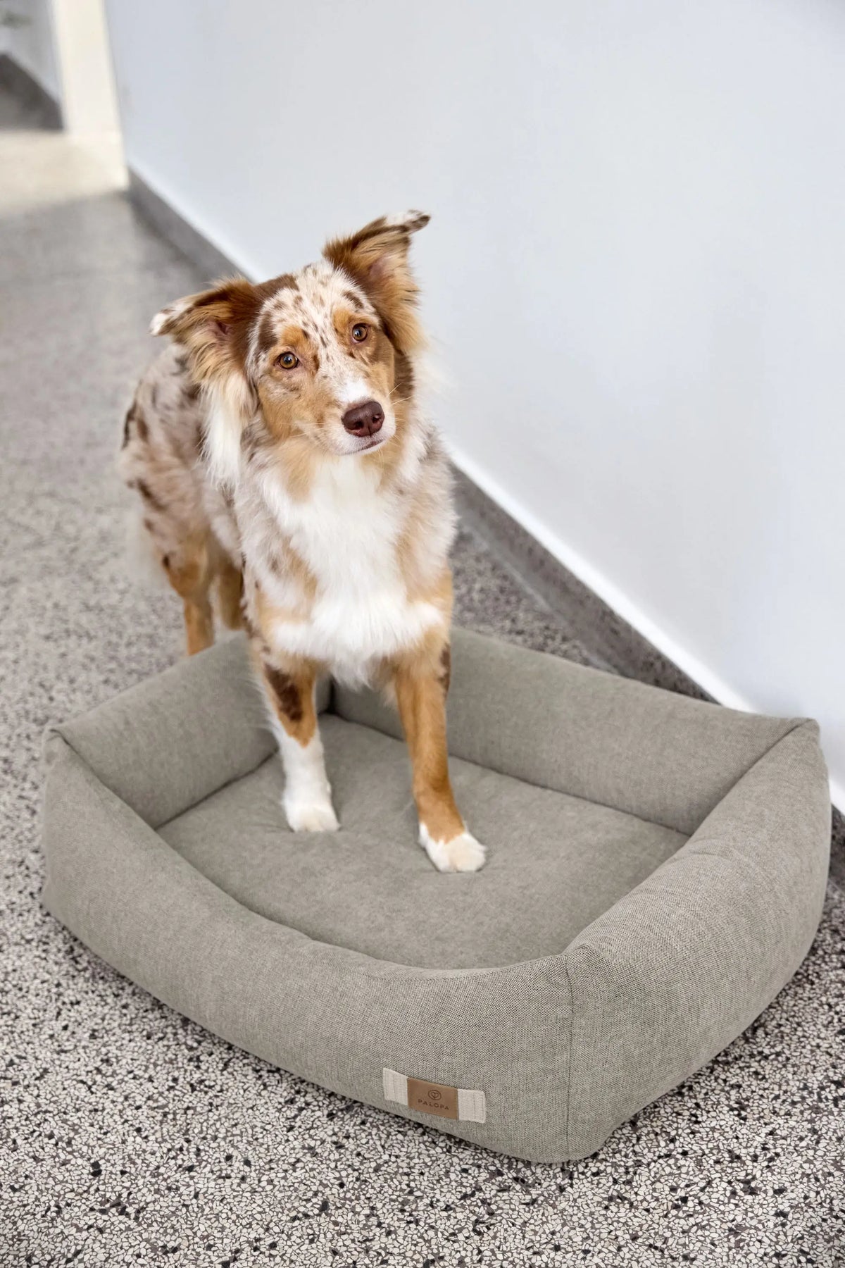 Hundebett - Fred, Grau