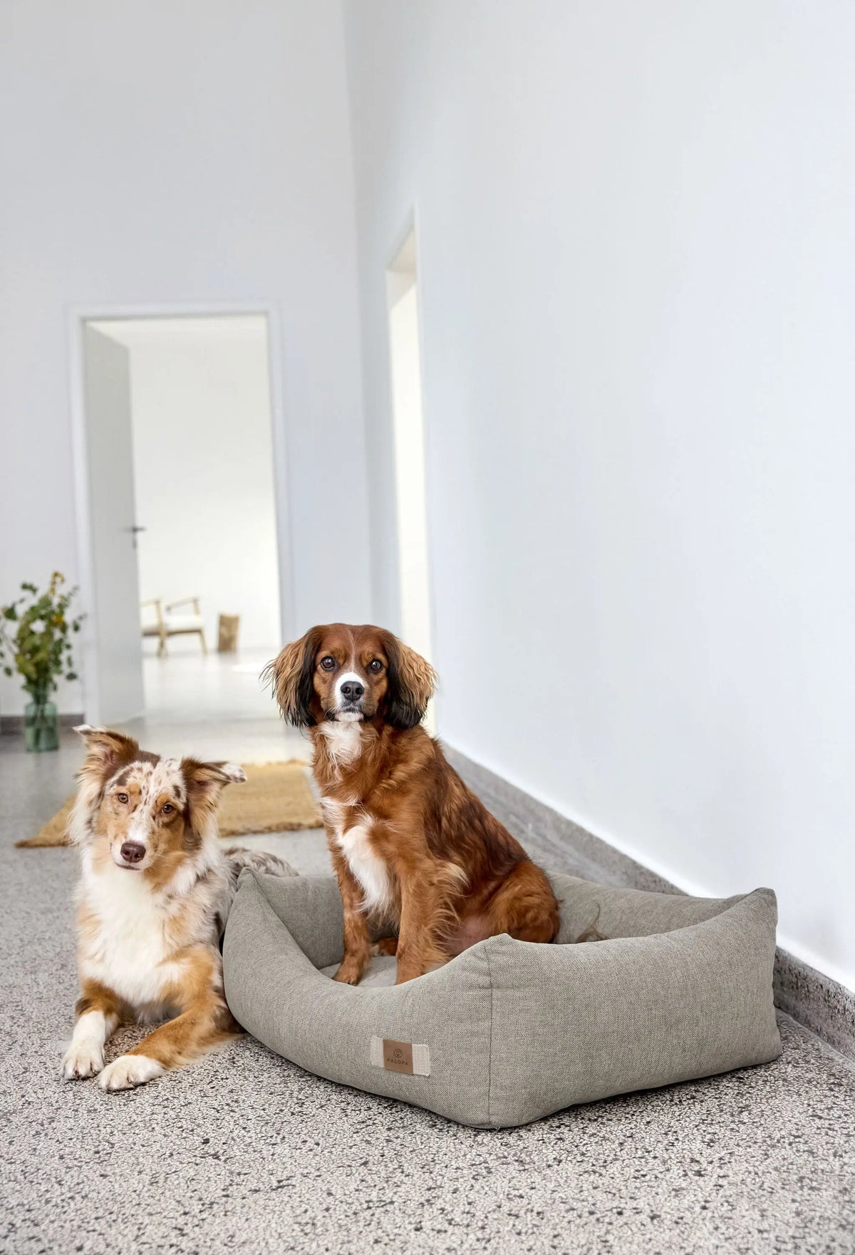 Hundebett - Fred, Grau