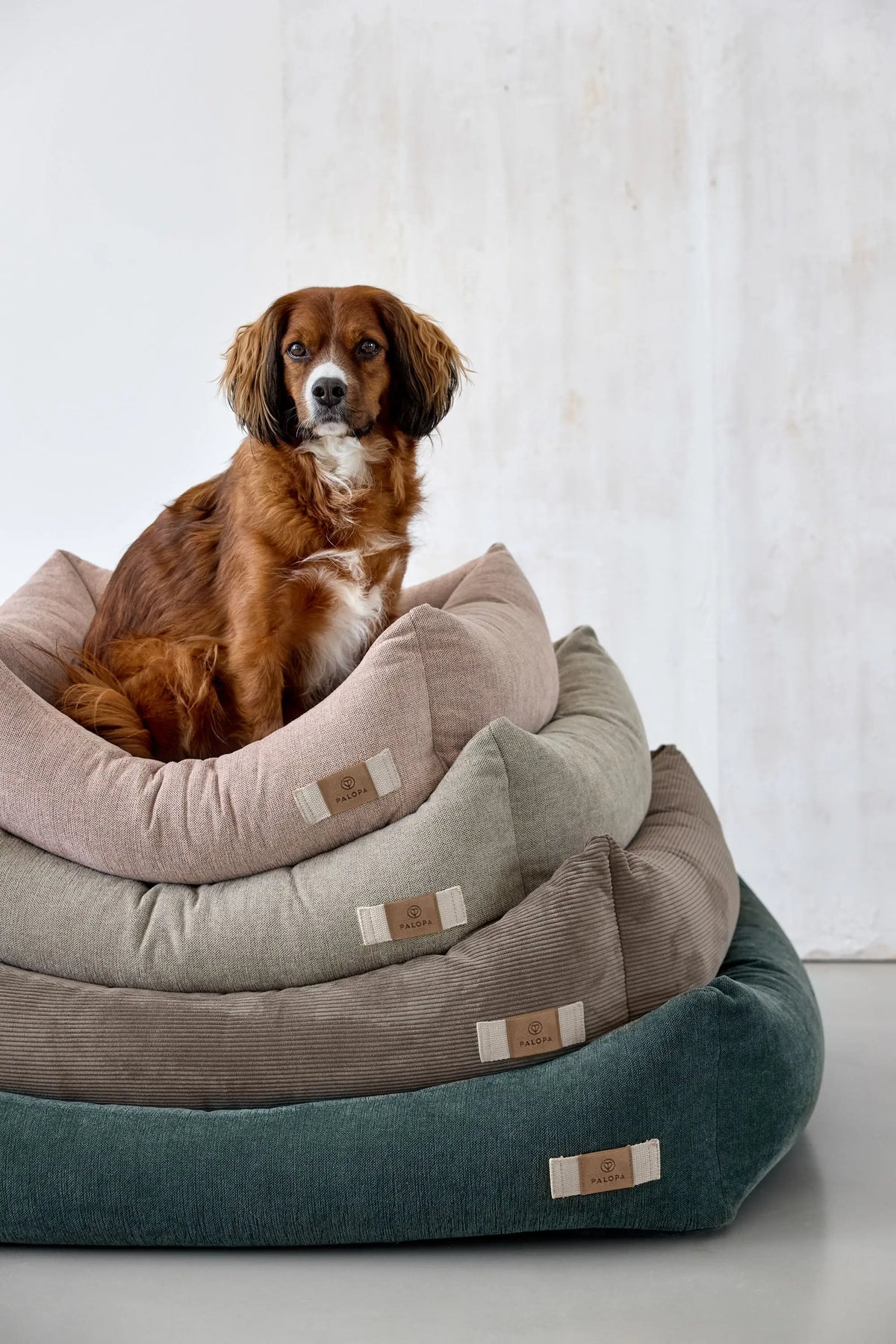 Hundebett - Fred, Grau