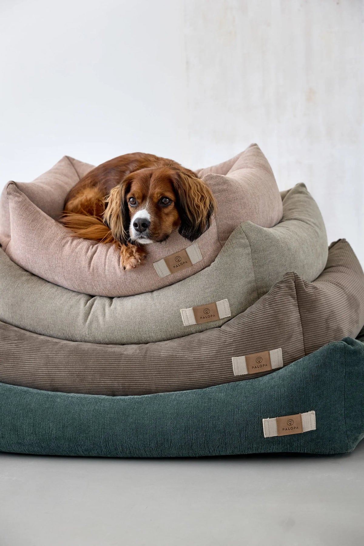 Hundebett - Fred, Grau
