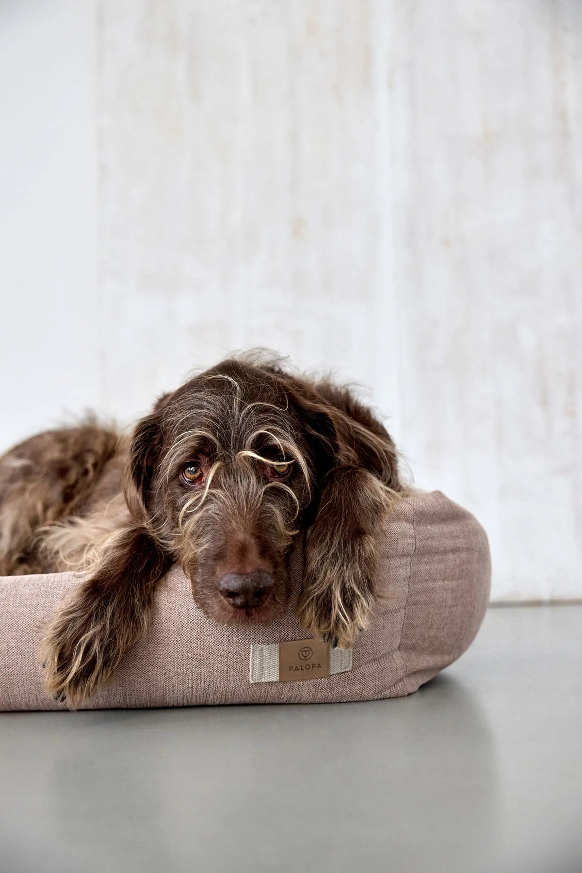Hundebett - Fred, Rosa