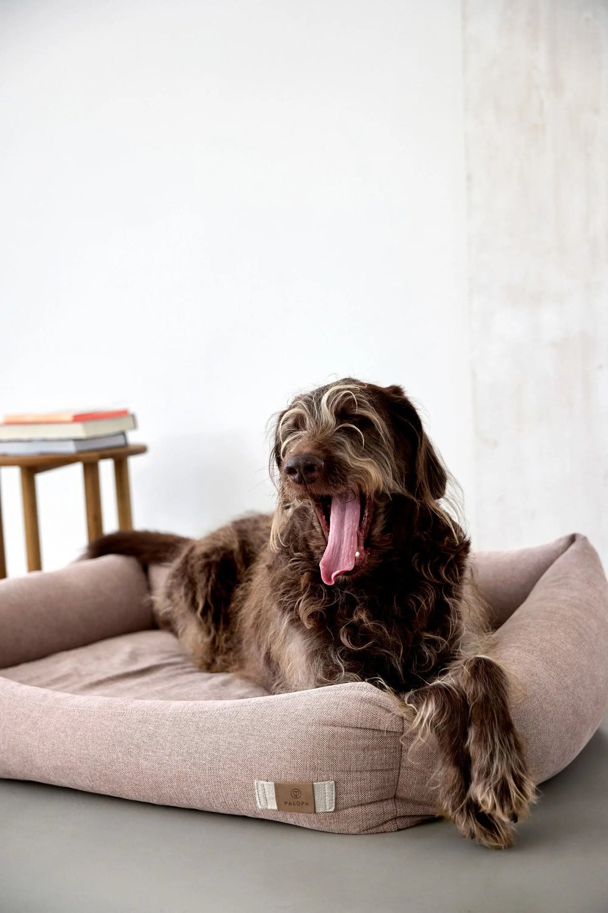 Hundebett - Fred, Rosa