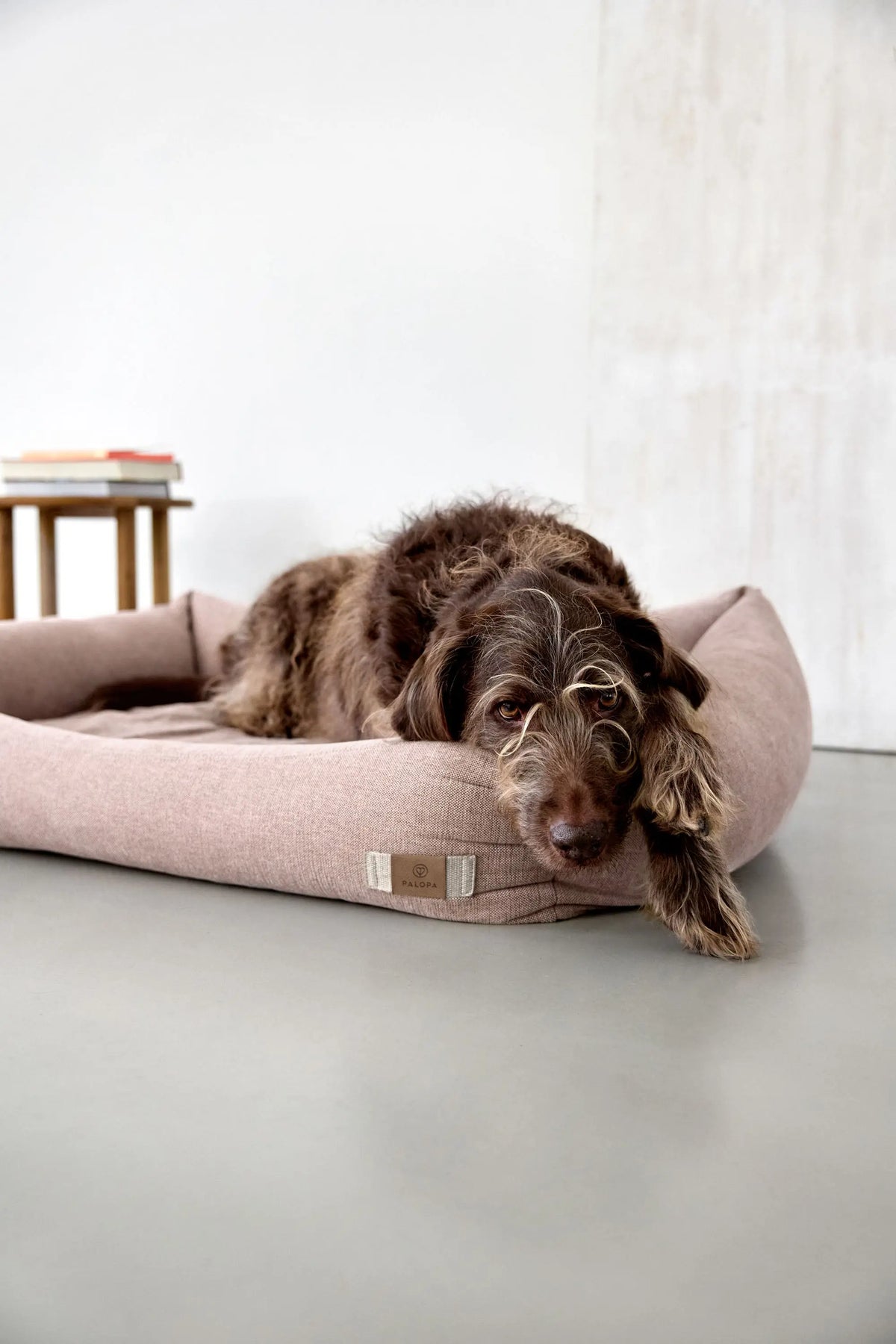 Hundebett - Fred, Rosa