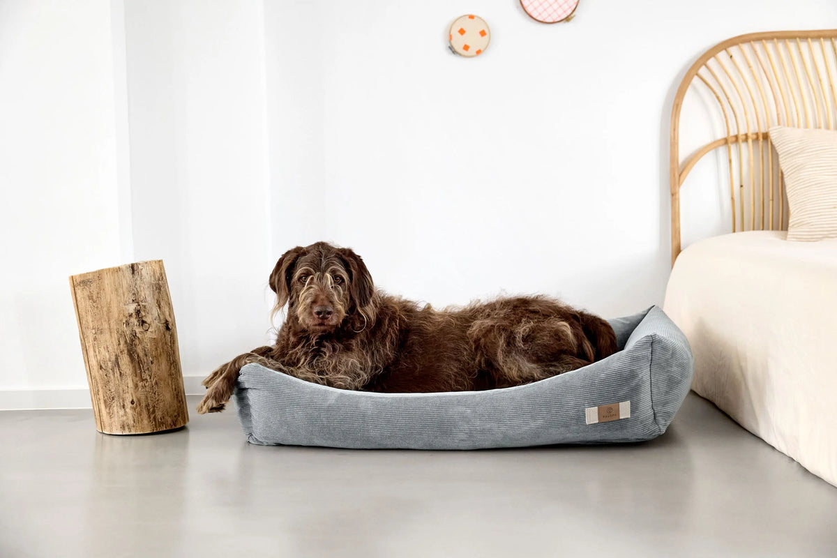 Hundebett Cord - Fred, Grau