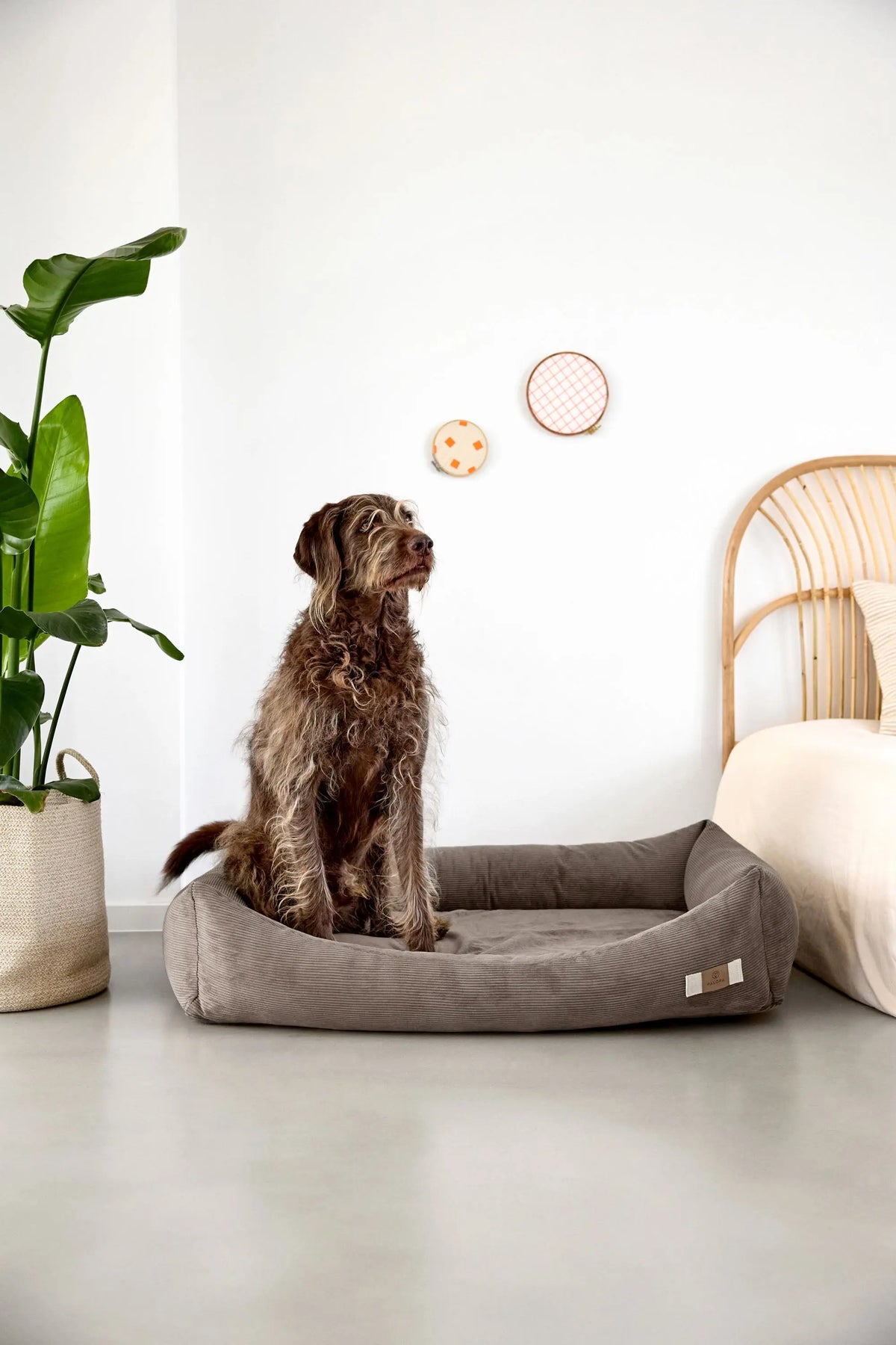 Hundebett Cord - Fred, Braun
