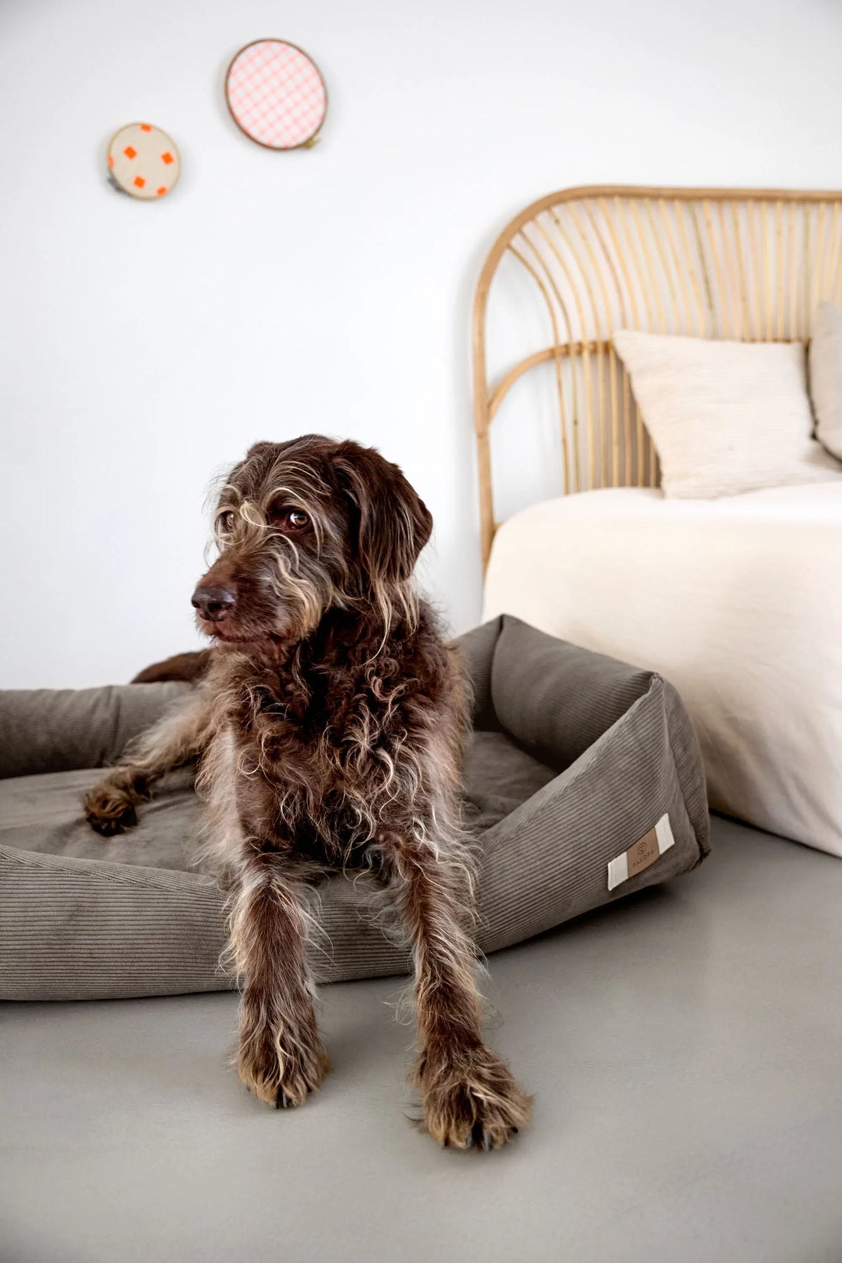Hundebett Cord - Fred, Braun