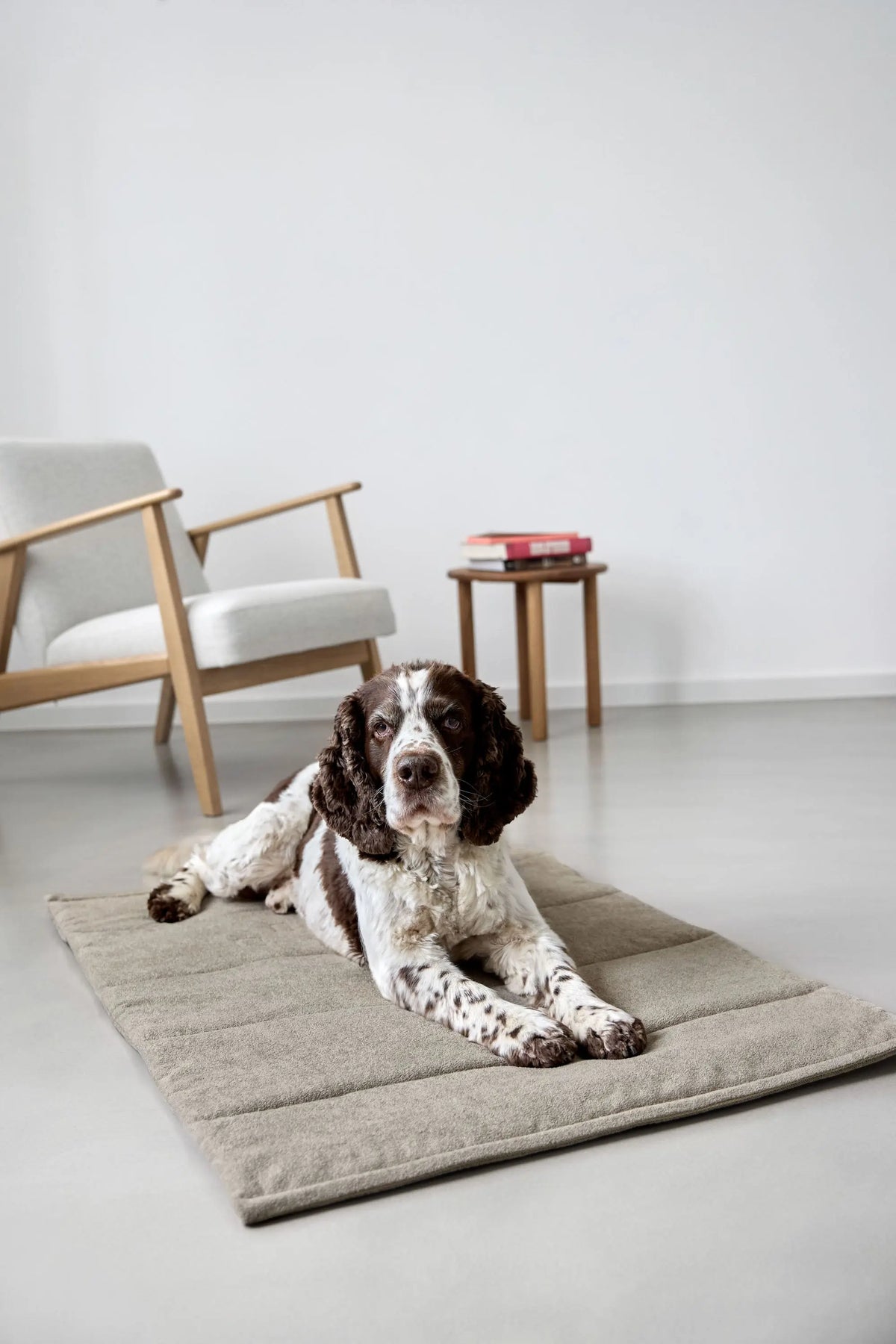 Hundematte - Alma, Beige