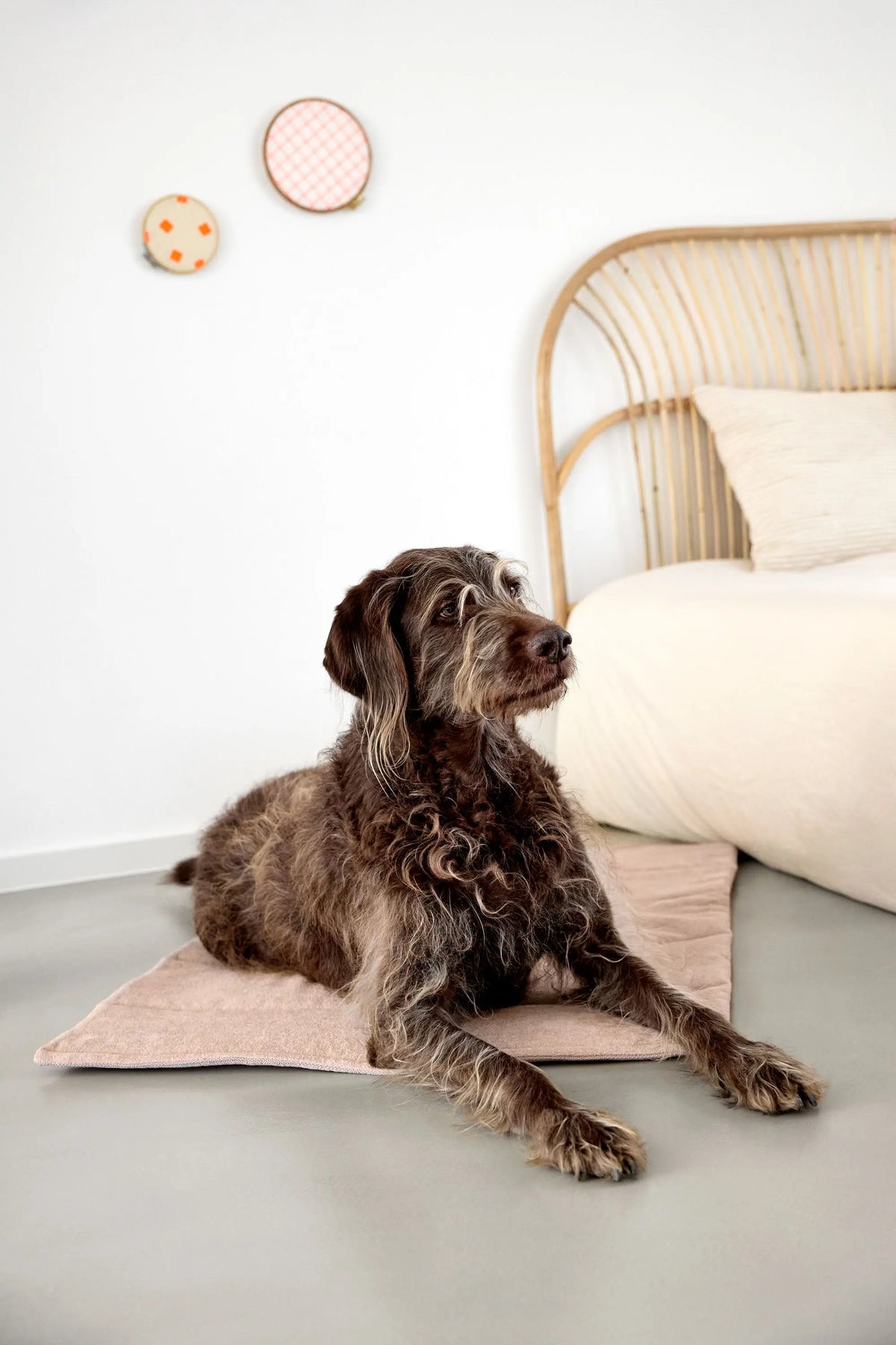 Dog mat - Alma, pink