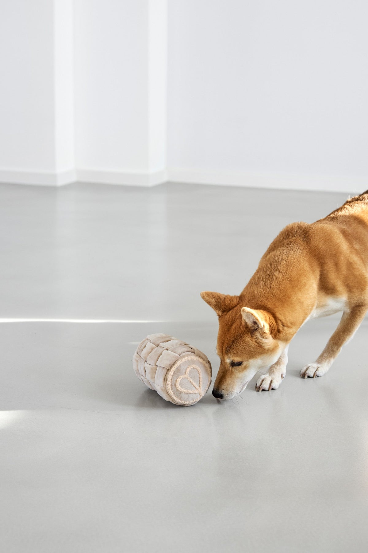Hundespielzeug - Kalpi - PALOPA