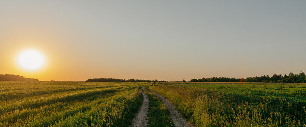 Natur - Landschaft