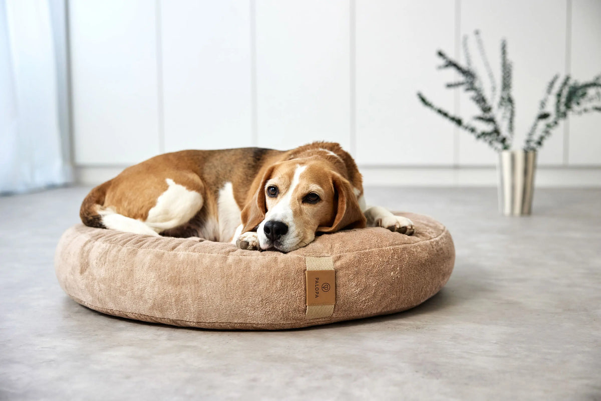 Hundebett Rund - Fippa, Humus Lässig