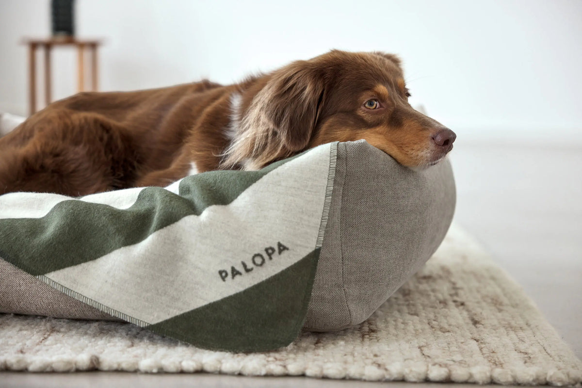 Hundedecke M - Ida, Streifen Dunkelgrün PALOPA