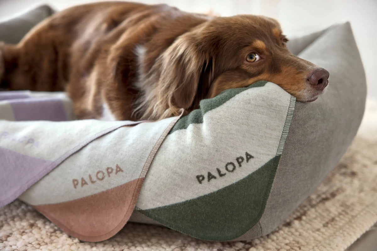 Dog Blanket M - Ida, Stripes Dark Green PALOPA