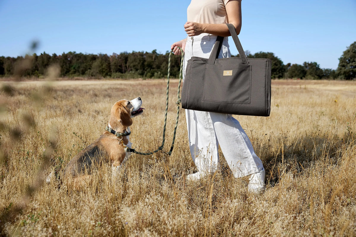 Sac pour tapis de chien - Nobo, Anthracite Lässig