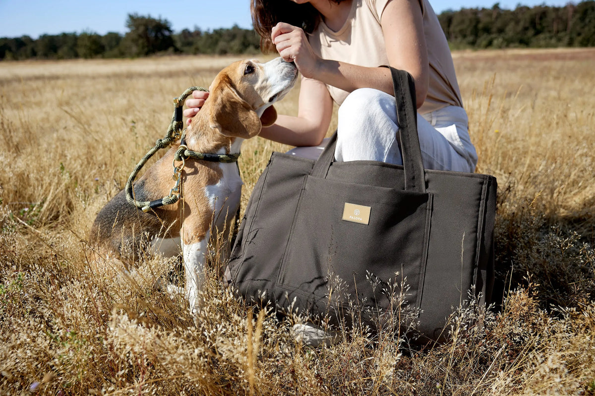 Sac pour tapis de chien - Nobo, Anthracite Lässig