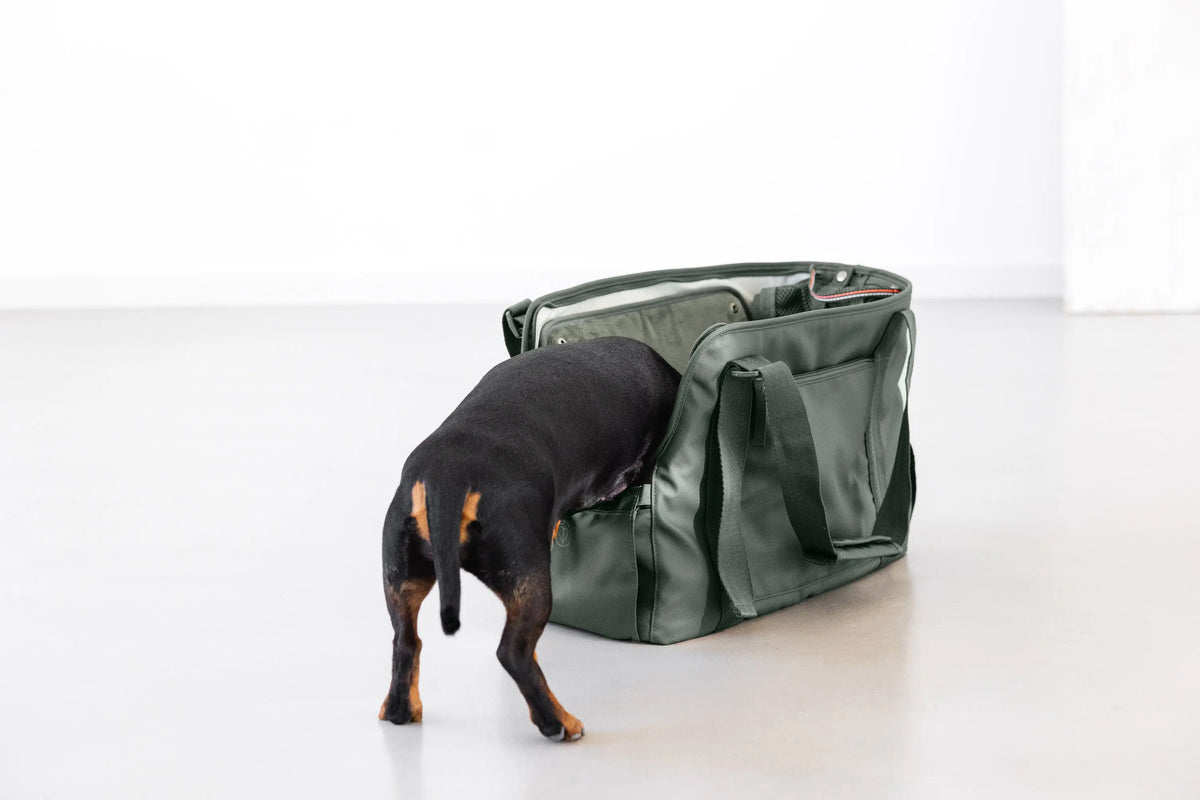 Dog Bag - Weda, Dark Green PALOPA