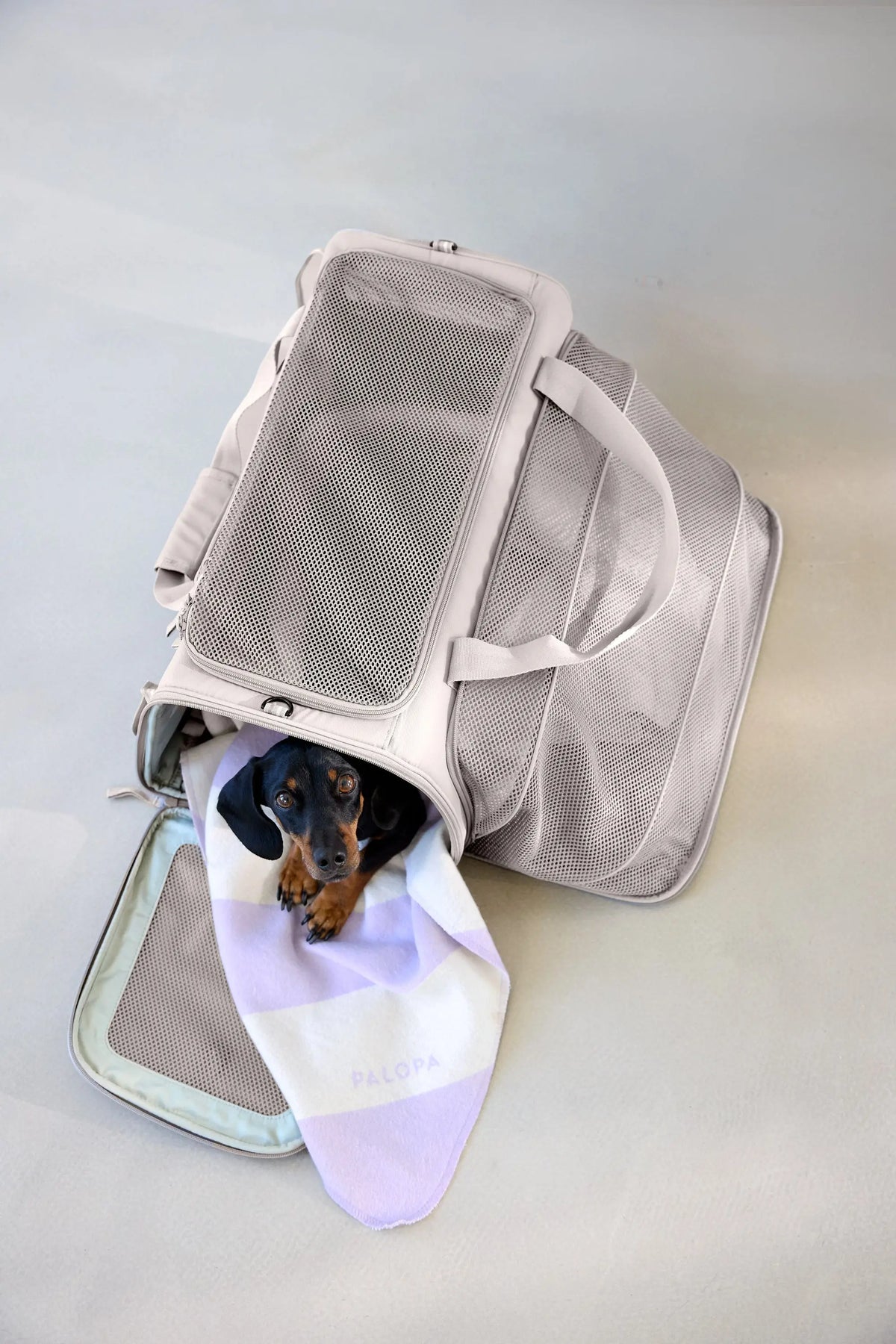 Dog Carrier Bag - Benno, Taupe PALOPA