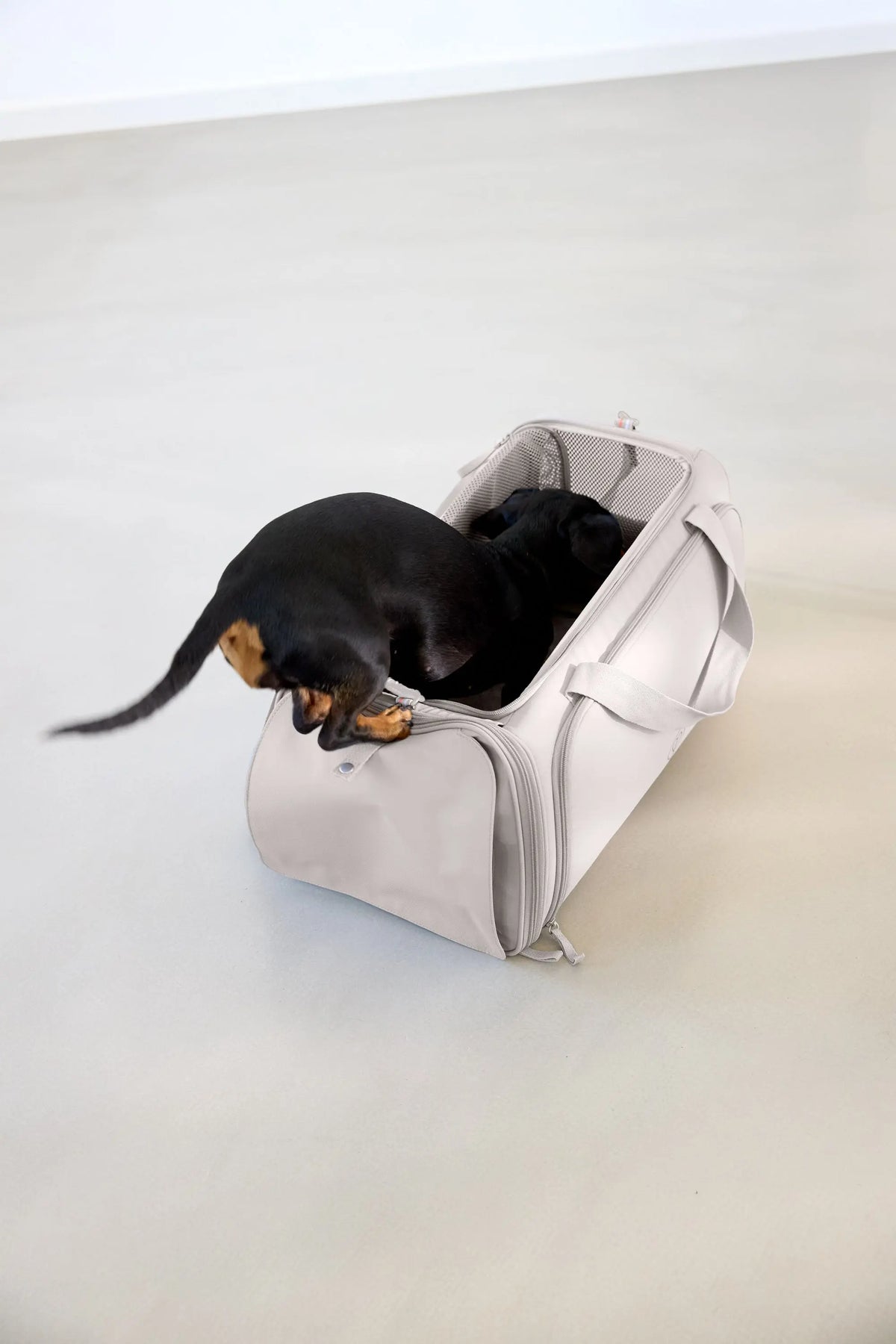 Dog Carrier Bag - Benno, Taupe PALOPA