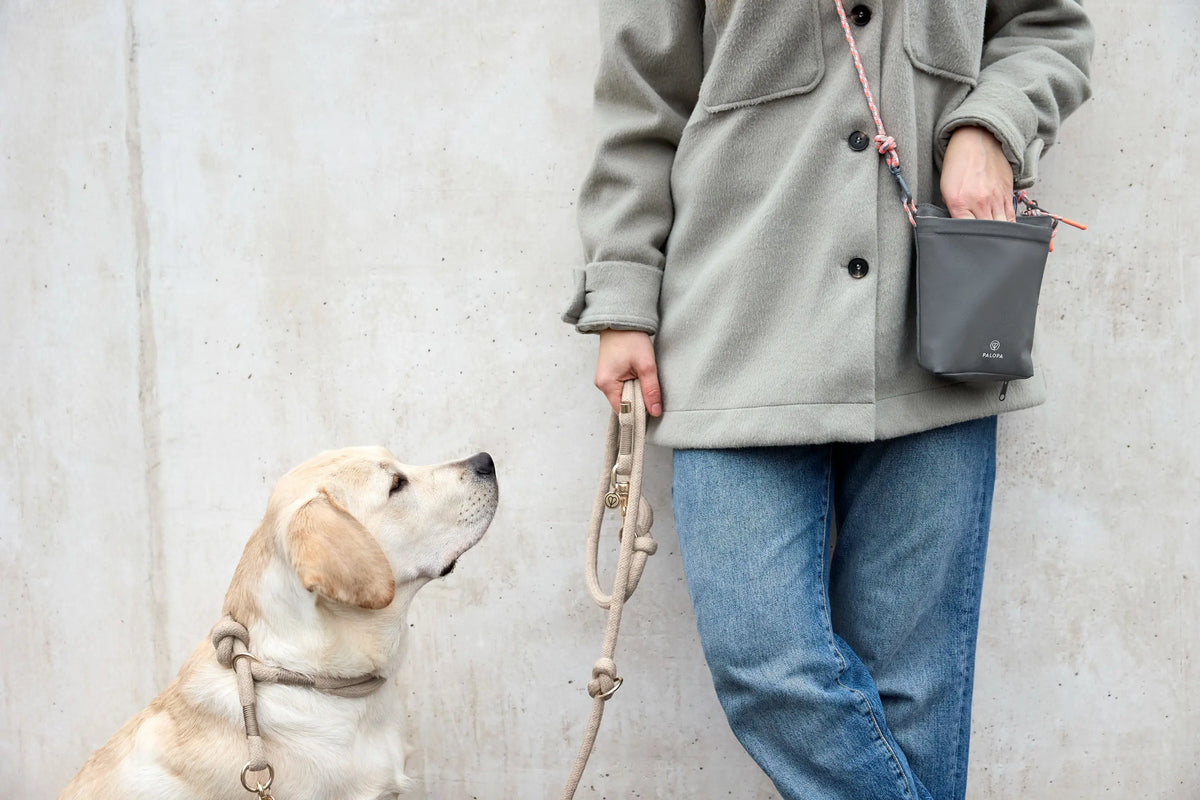 Dog Snack Bag - Karl, Dark Gray PALOPA