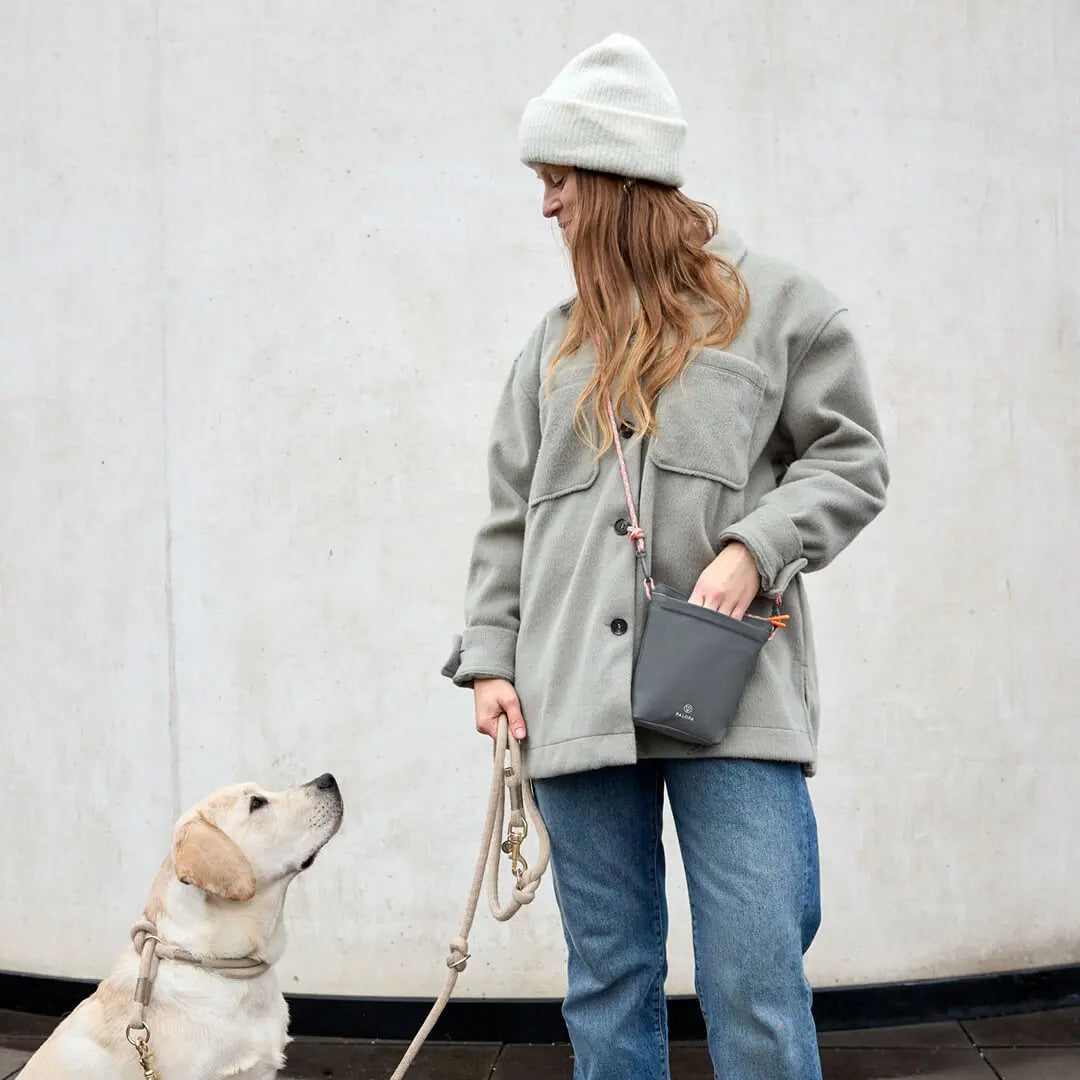 Dog Snack Bag - Karl, Dark Gray PALOPA