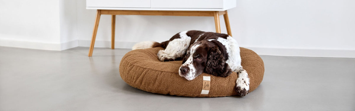 Hundebett Fred