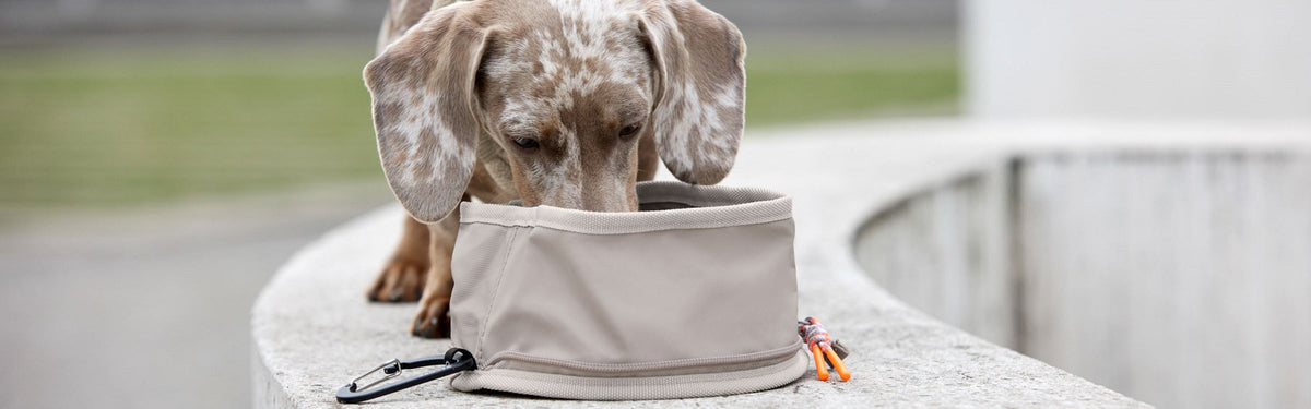 Accessories - PALOPA