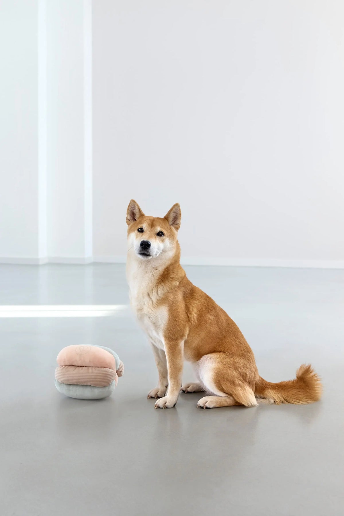Jouet pour chien - Brino, Rose