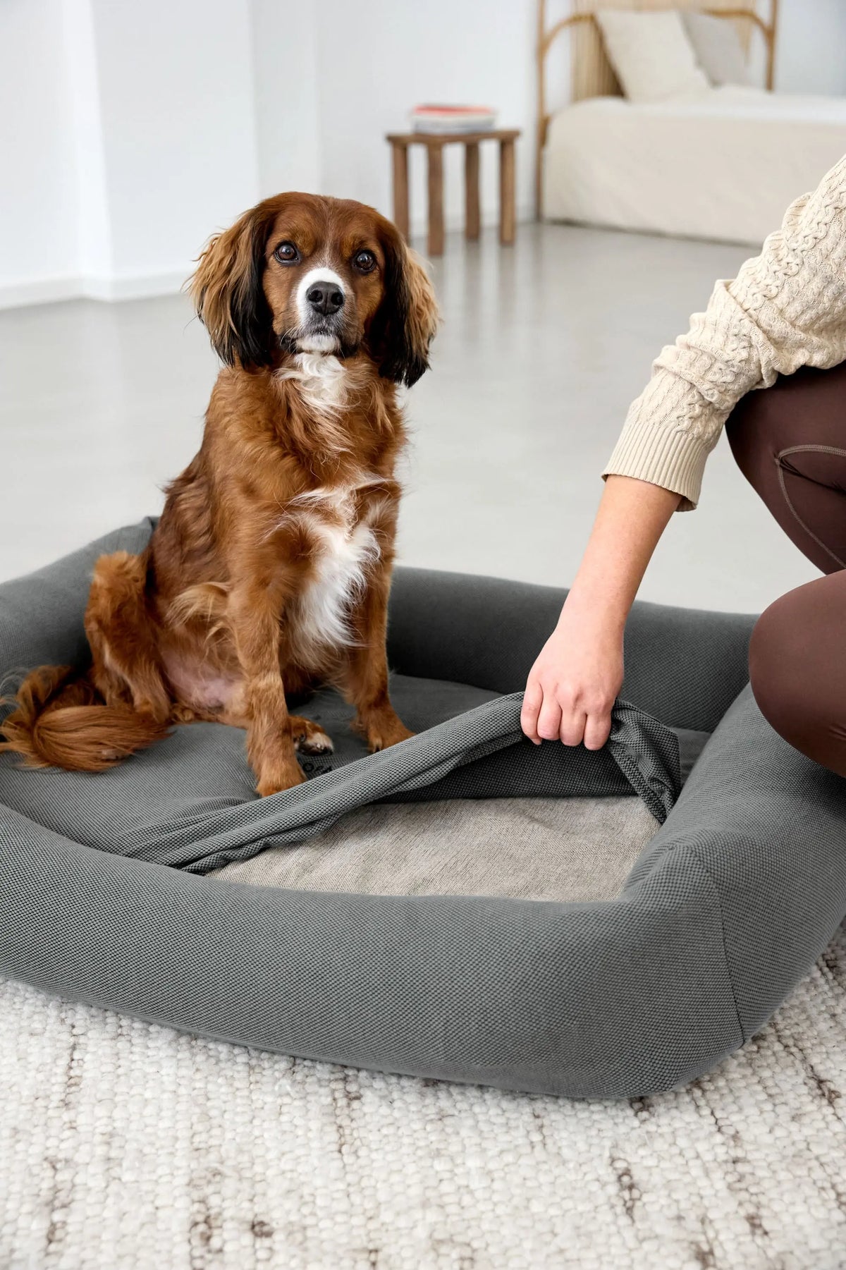 Hundebett Bezug 2er Set - Fred, Anthrazit