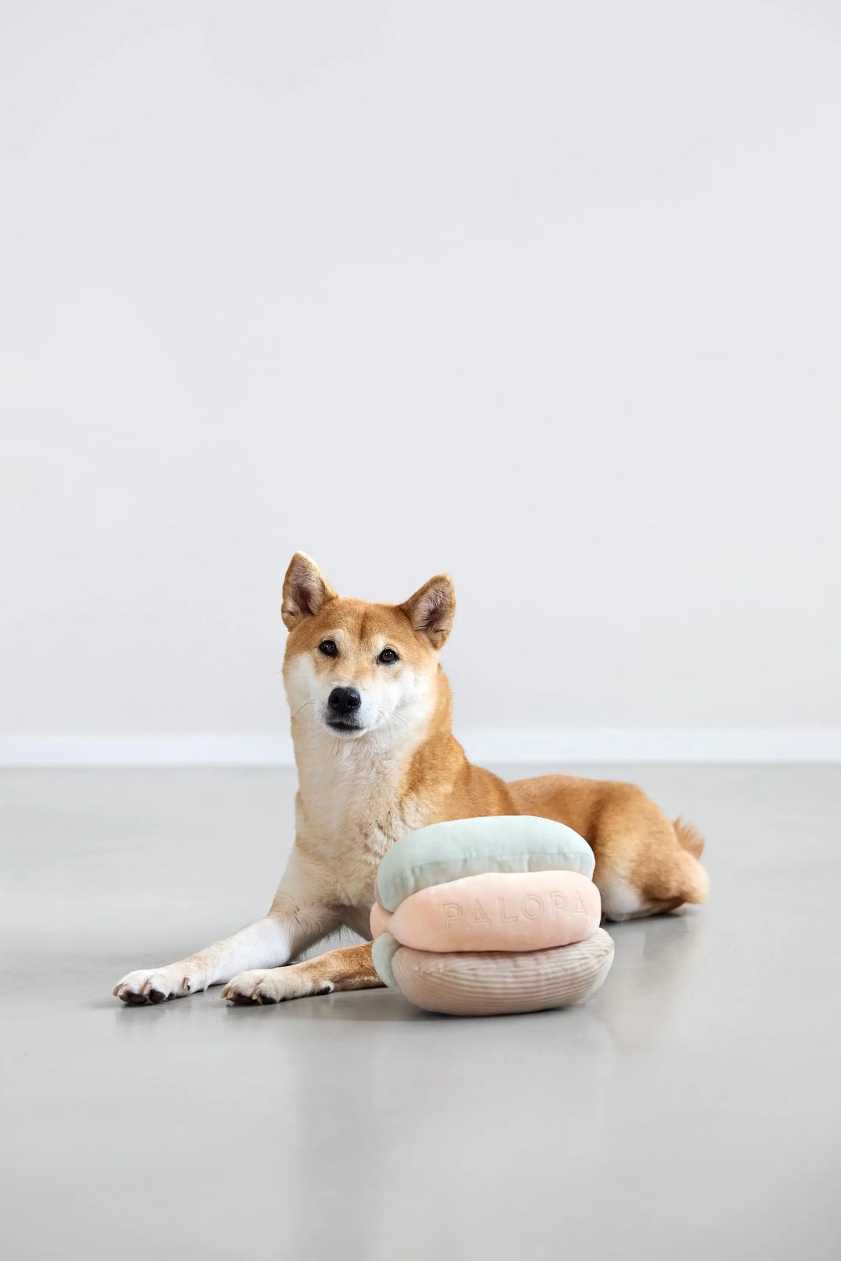 Jouet pour chien - Brino, Rose