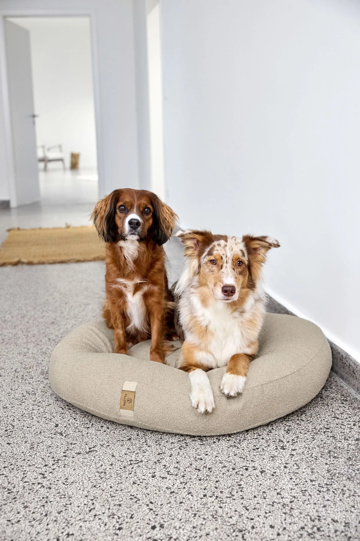 Hundebett Rund - Fippa, Hellbraun