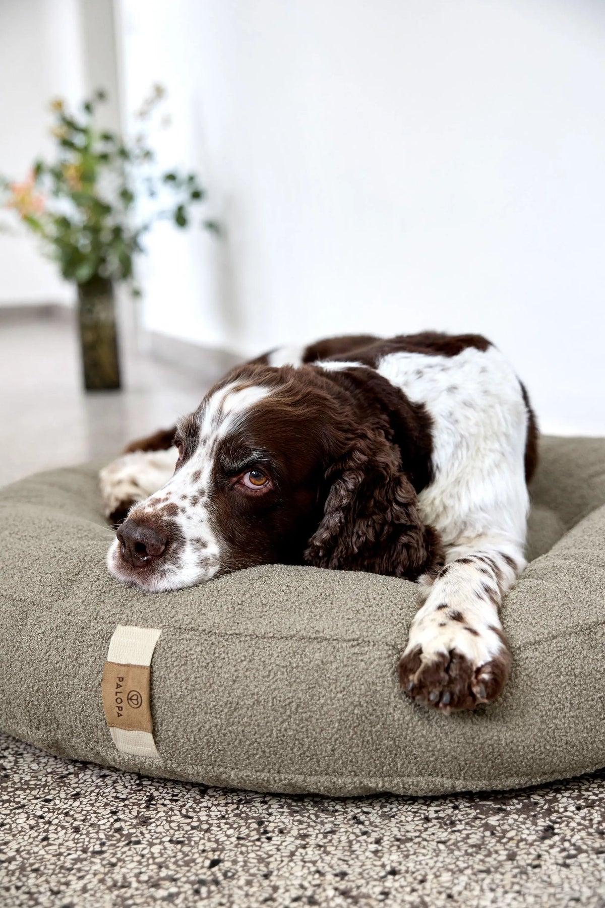 Hundebett Rund - Fippa, Taupe Grau