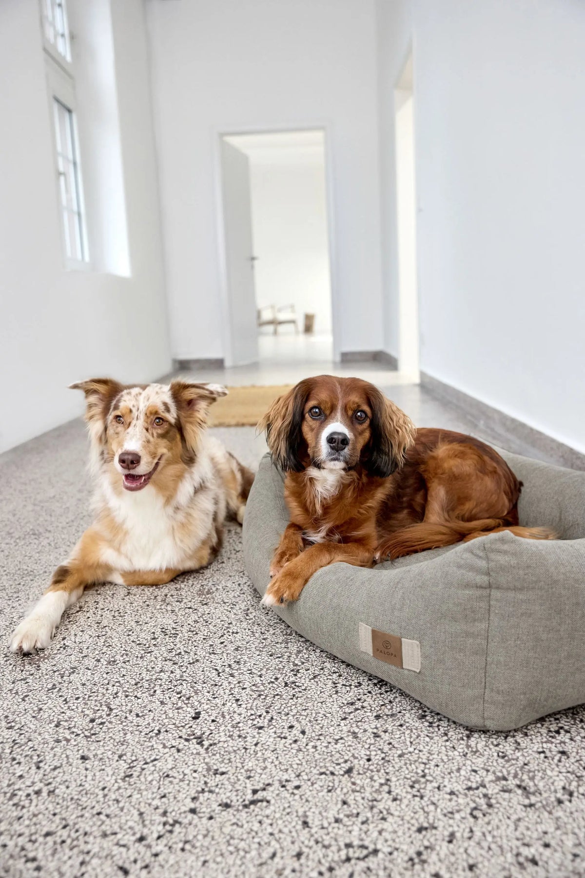 Hundebett - Fred, Grau