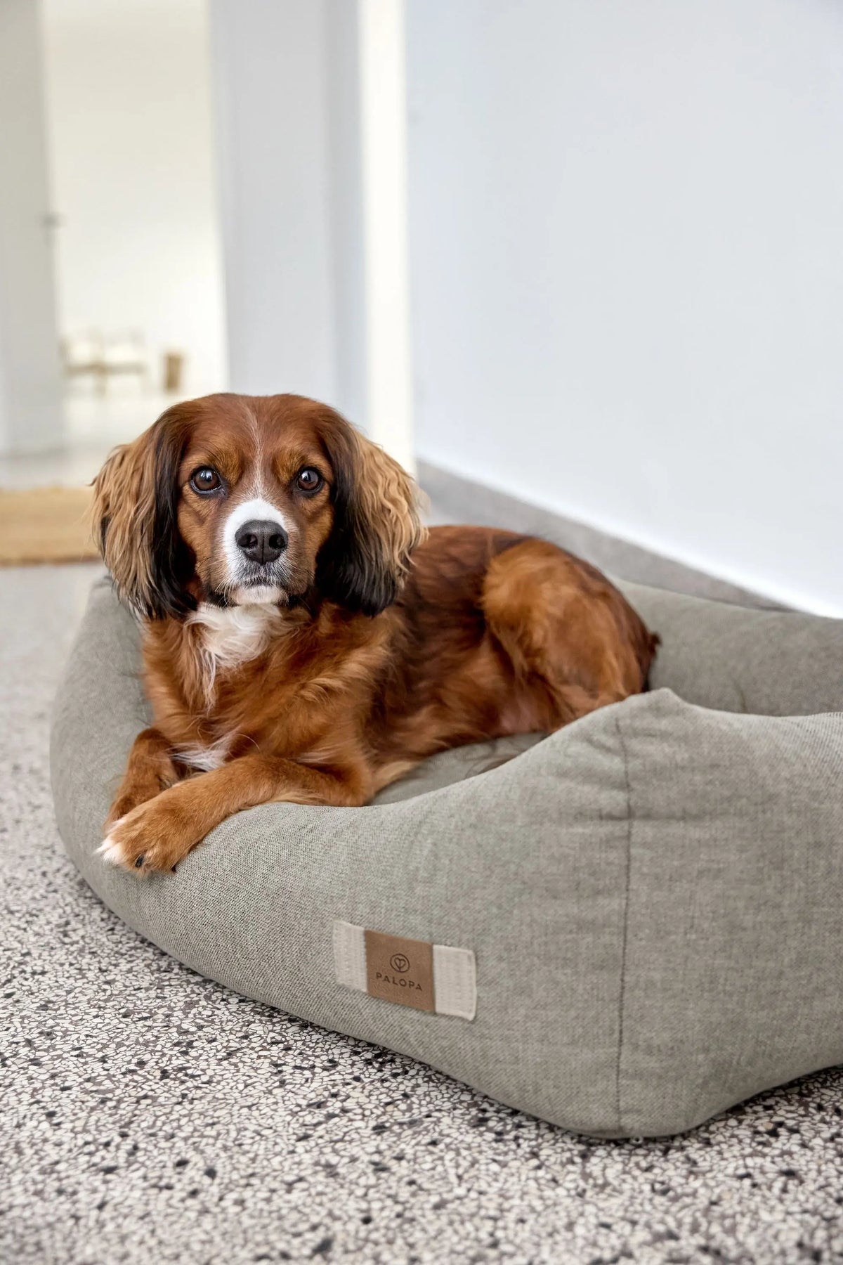 Hundebett - Fred, Grau