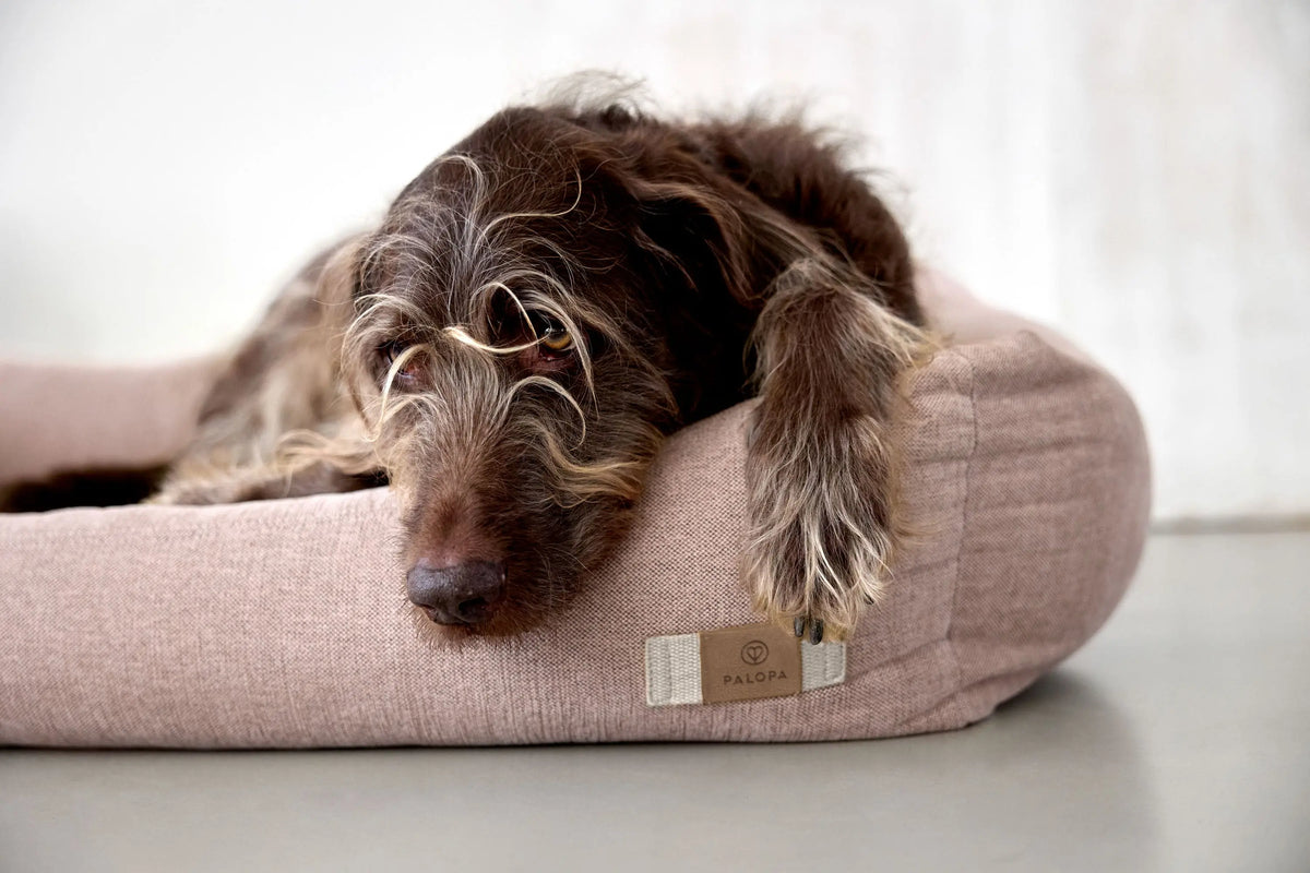 Hundebett - Fred, Rosa