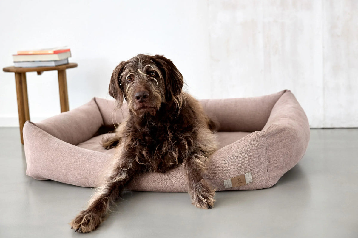 Hundebett - Fred, Rosa