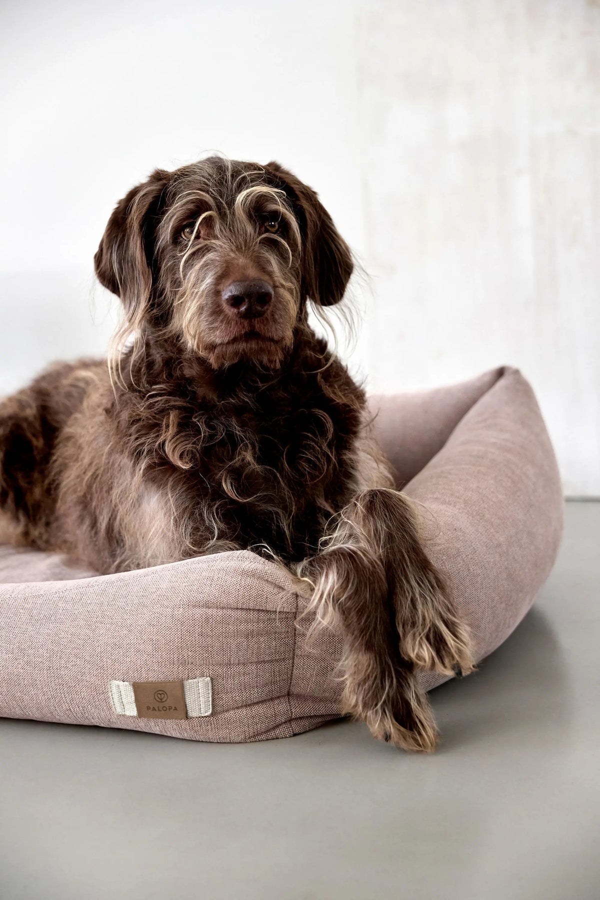 Hundebett - Fred, Rosa