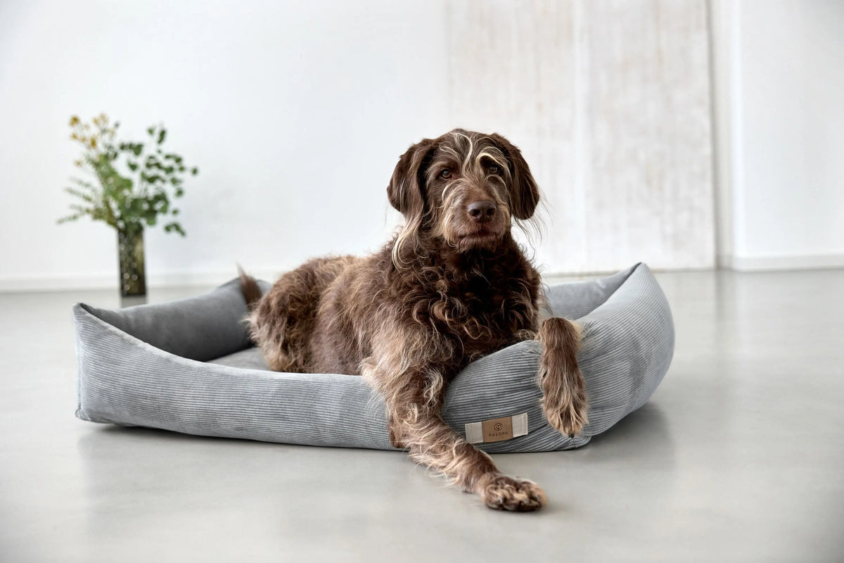 Hundebett Cord - Fred, Grau