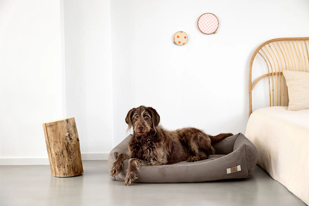 Hundebett Cord - Fred, Braun