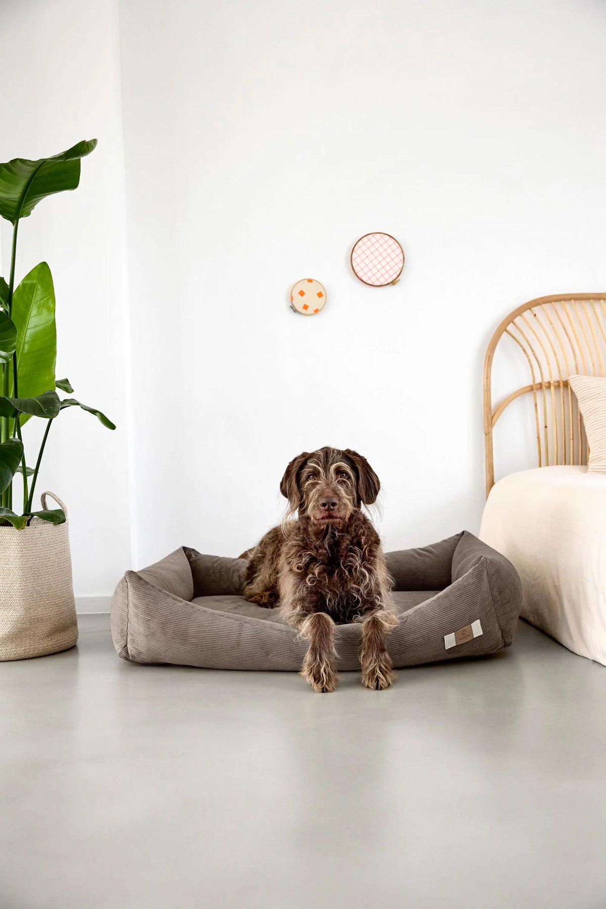 Hundebett Cord - Fred, Braun